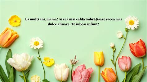 Foto: întâlnire cu mama naturală după mulți ani