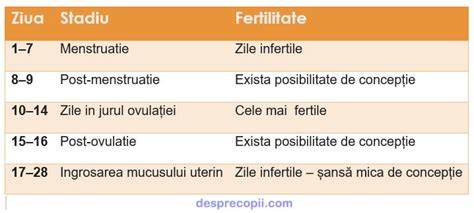 Infografic: Fereastra fertilă - zilele 5 înainte de ovulație până în ziua ovulației