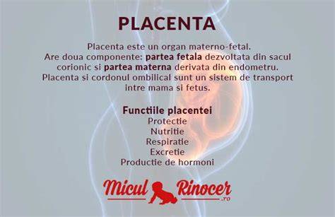 Infografic: Ce este placenta si cum poate sa se descarce