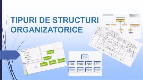 Infografic: Structura mandatului si tipuri de reprezentare