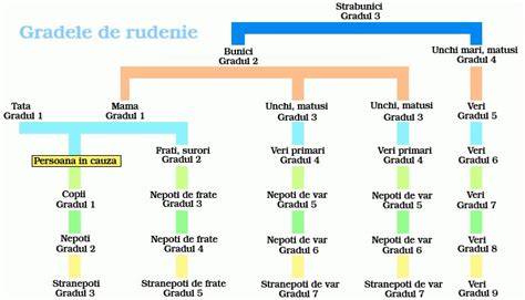 Diagrama schemă: linii de rudenie și grade (linie dreaptă și colaterală)