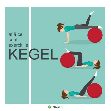 Ilustrații cu exerciții Kegel și stretching pentru gravide