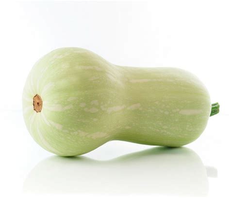 Dovlecel proaspăt pe un fundal alb