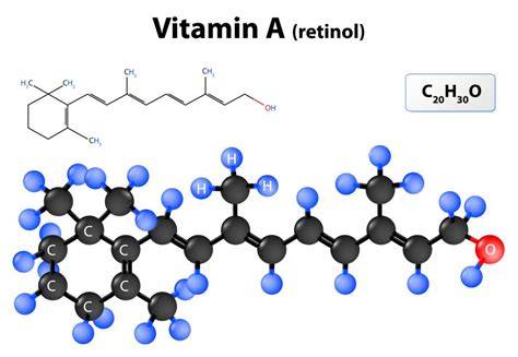 Infografie: Forme de vitamina A (retinoizi vs. carotenoide) și principalele surse