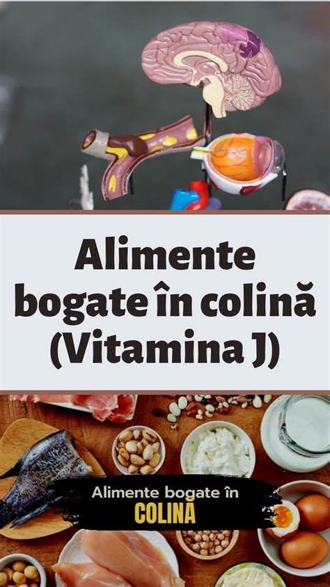 Jurnal vizual: alimente bogate în vitamina C și conținuturi specifice