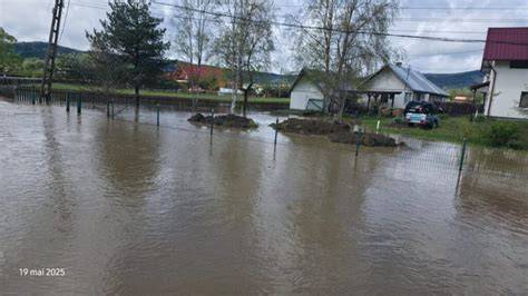 Schema măsurilor preventive pentru retenția placentei în turme