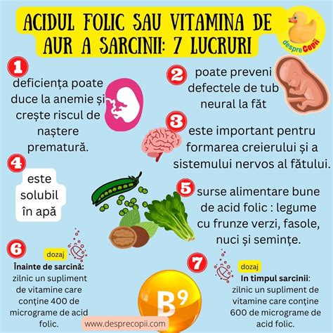 Infografic: Nutrienți esențiali în timpul sarcinii (acid folic, fier, iod, omega-3, vitamina D, calciu)
