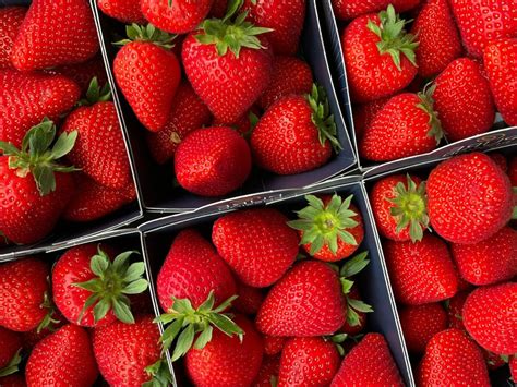 Fructe de pădure și rodii