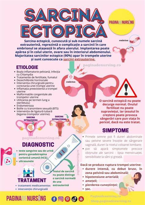 Infografic despre transmiterea infectiilor in sarcina