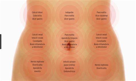 Infografie: Zgomotele abdominale si borborisme - mecanisme, cauze si indicatii pentru consult medical