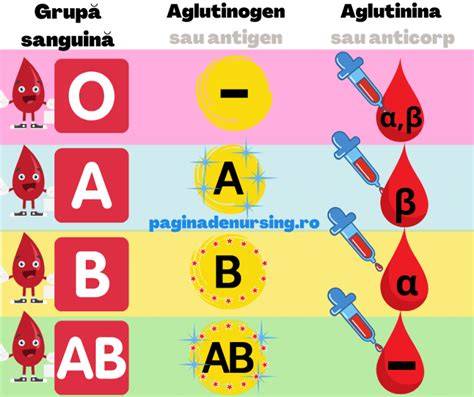 Infografie despre compatibilitatea Rh și rolul imunoglobulinei anti-D