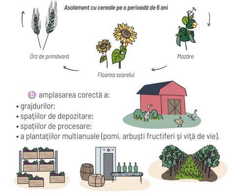 Infografic: Planificarea nutrienților cheie în sarcină