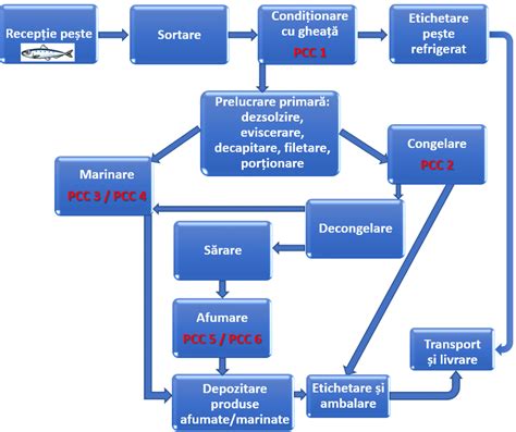 Diagramă a fluxului de îngrijire a prematurilor de la naștere la follow-up