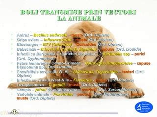 Infografic cu bolile zoonotice transmise de animale