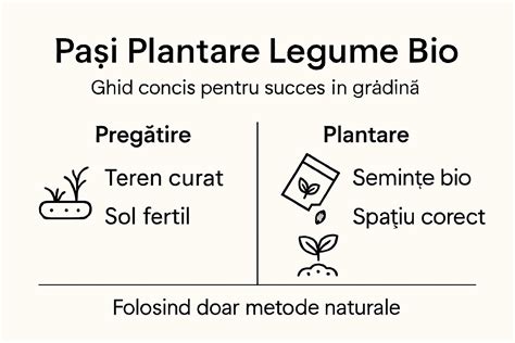 Infografic: Compoziția bio și beneficiile balsamului pentru sfarcuri Mustela
