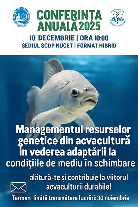 Infografic: fazele adaptării bebelușului la noul mediu