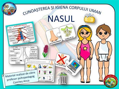 Infografic: igiena ochilor, nasului și gurii la nou-născut