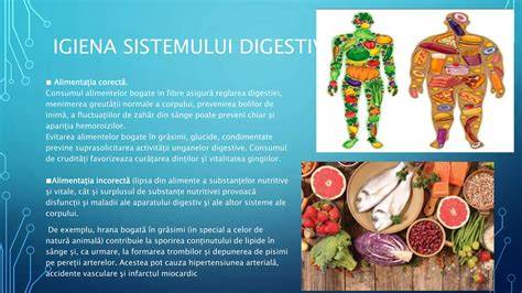 Explicații vizuale despre igiena corectă după folosirea oliței