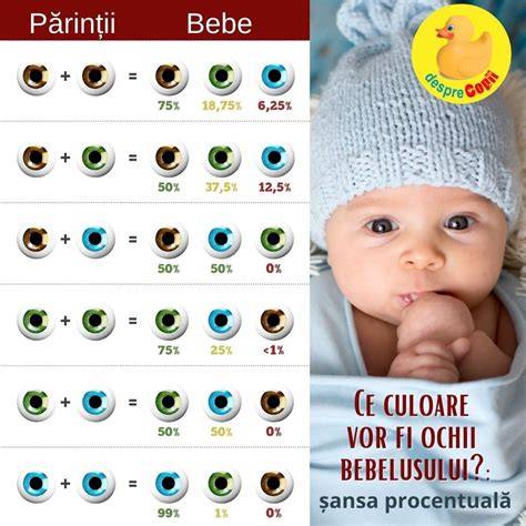 Diagrama cu probabilități de culoare a ochilor în funcție de combinația de gene proaspete