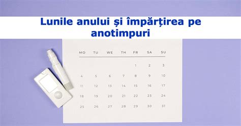 Infografic: Împărțirea anului în patru trimestre și corespondența cu săptămânile sarcinei