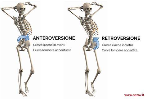 Infografic: Ghid vizual al pozițiilor uterine - anteversie vs retroversie