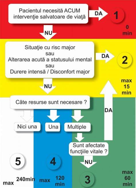 Infografic: Fluxul de triere în UPU Pediatrie (diagramă a triajului și prioritizării pacienților)