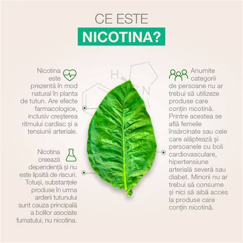 Infografic despre mecanismele fumatului în sarcină: nicotină, CO, vase sangvină, placentă