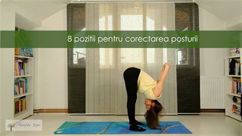 Foto: pozitii pentru prevenire si posturi corecte in timpul sarcinii