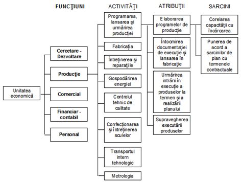 Structura unei secții de pediatrie