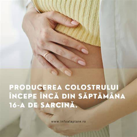 Infografic: Tranziția colostru la lapte matur - etape și ore-cheie
