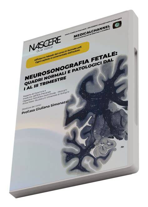 Infografic: cronologia morfologiei fetale pe trimestre (I, II, III) si principalele obiective