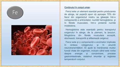 Infografic: Fluxul diagnostic al amenoreei si rolul Duphaston