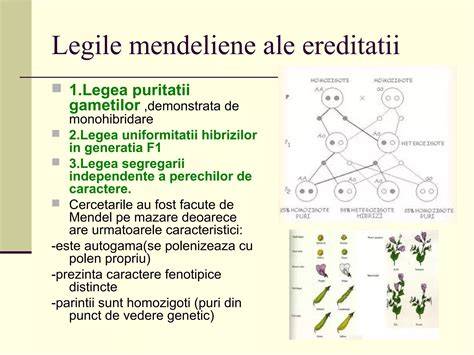 Infografie: Principii ale homeopatiei si legile diluției