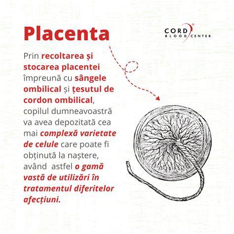 Infografic: mecanismele SAFO și traseul placentar în sarcină