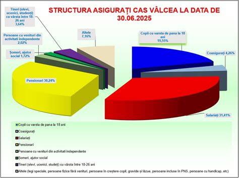 Infografic: etapele protecției copilului în sistemul de plasament