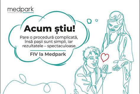 Infografic despre pașii principali ai FIV