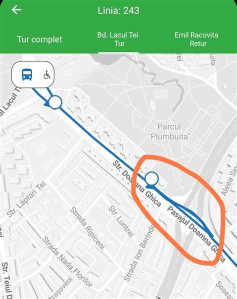 Informații despre traseul de puncție ecoghidat și localizarea fătului