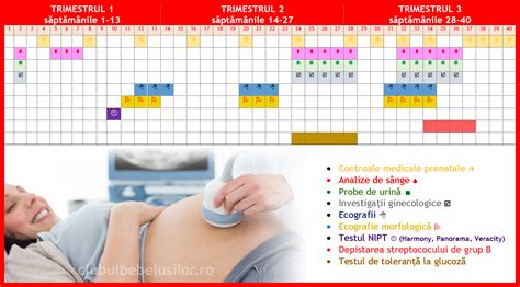 Schema calendarului analizelor în sarcină pe trimestre