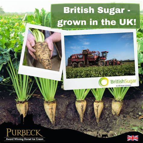 Infografic: Evoluția lui Sugar, Sugar în topuri (Billboard, UK, Canada)