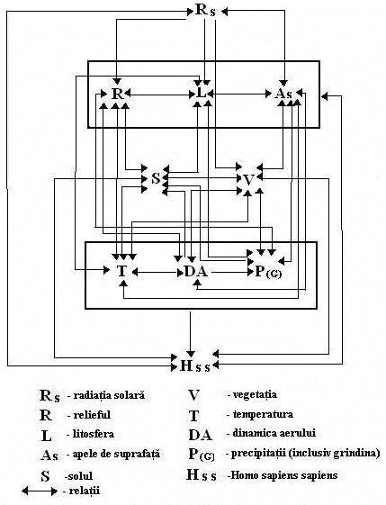 Schema: factorii genetici implicaţi în infertilitatea masculină