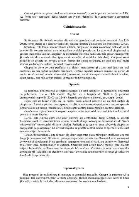 grupuri de diagrame: procesul fertilizării și al spermatogenezei