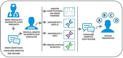 profil genetic donatoare ovocite