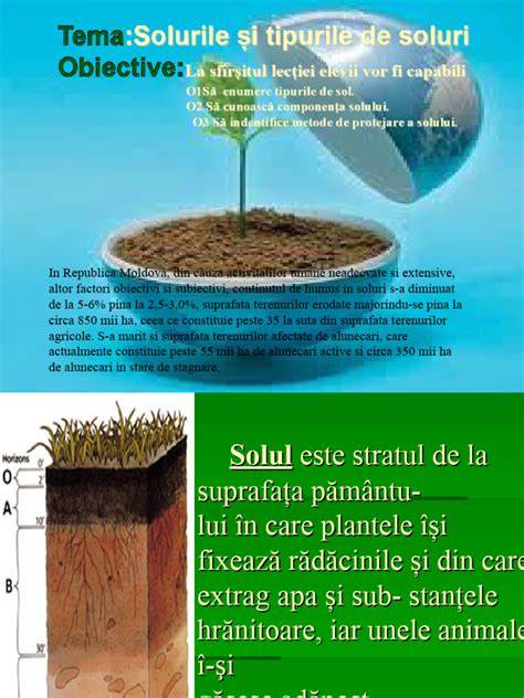 Infografic: Criterii de clasificare a solurilor după textura și fertilitate