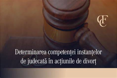 Infografic: Schema competenței teritoriile în acțiunile de filiație