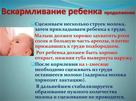 Графика о схемах введения прикорма
