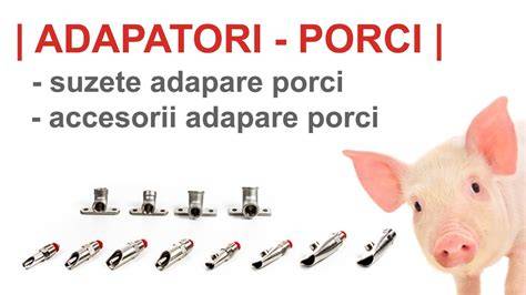 Imagine cu exemple de suzete pentru porci pe înălțimi diferite