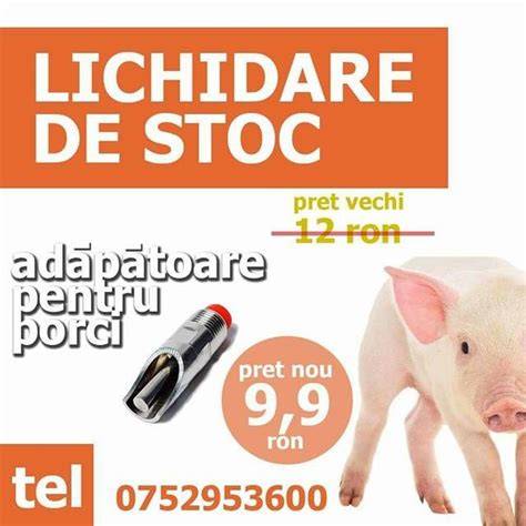 Infografic: tipuri de adăpătoare pentru porci