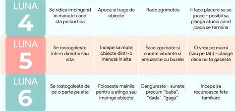 Schema tipuri alimentare pe etape (6-9 luni)