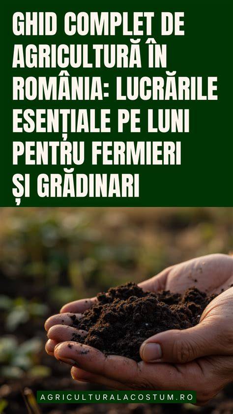 Ghid vizual 4-6 luni: piureuri și introducerea texturii
