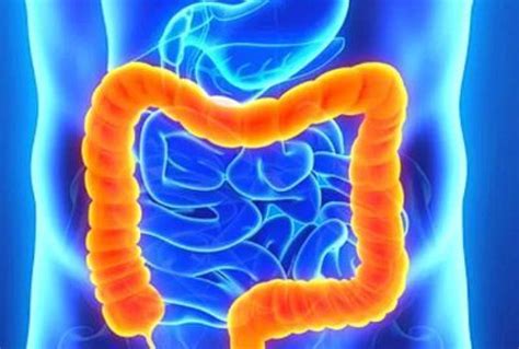 Infografic - cum acționează glicerină în intestinul gros
